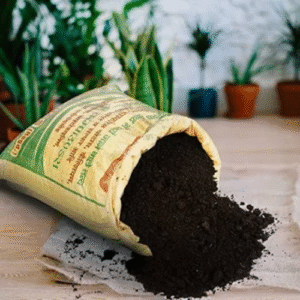 Vermicompost